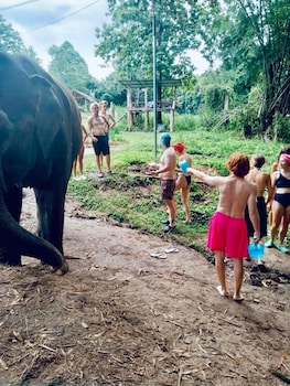 3pok resort maewang jinxing