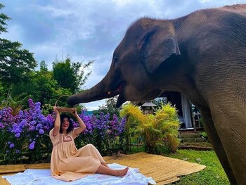 3pok resort maewang jinxing