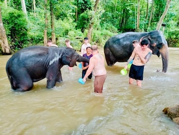 3pok resort maewang jinxing