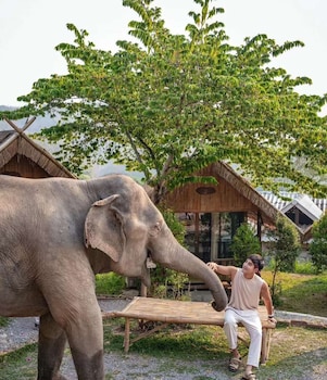 3Pok Resort Maewang Jinxing,,3 star