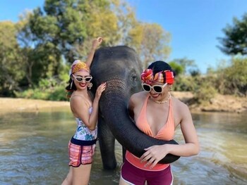 3pok resort maewang jinxing