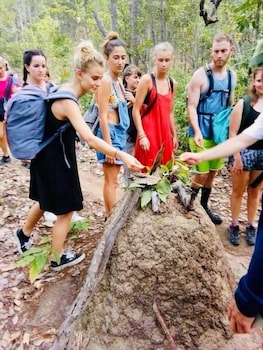 3pok resort maewang jinxing