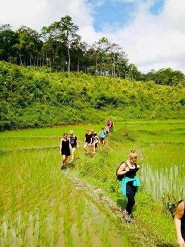 3pok resort maewang jinxing