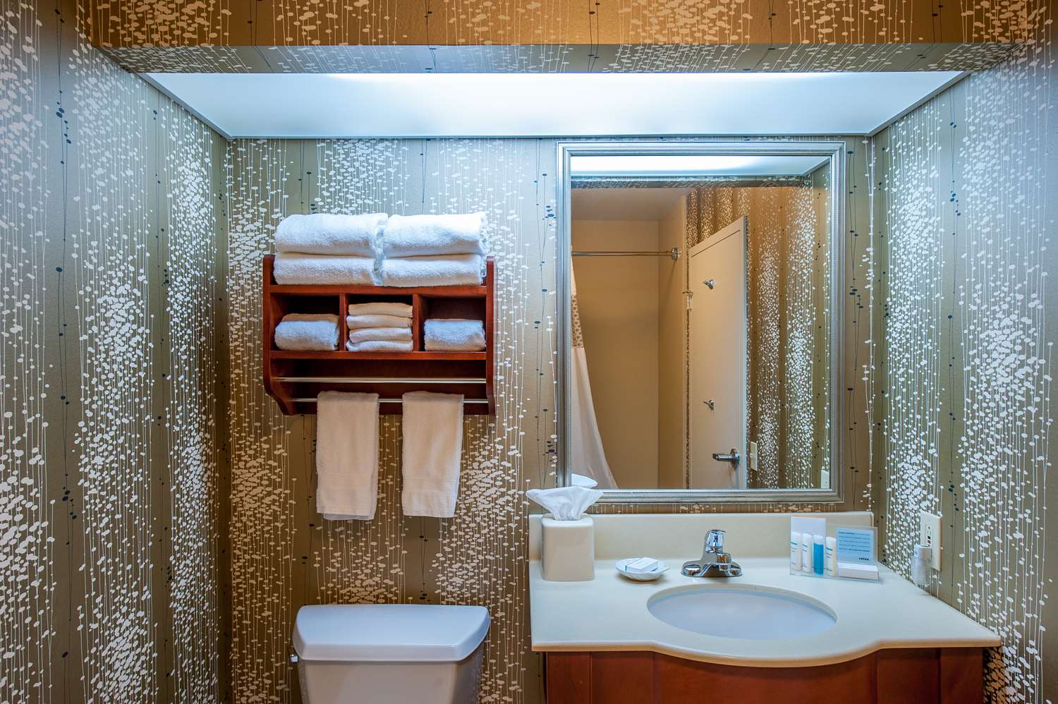 hampton inn by hilton bowling green