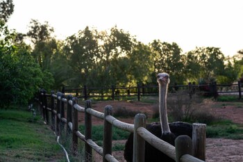 Mooiplaas Guesthouse,Garden Route>>De Hoop,4 star