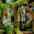 marea brava apartments ocean front