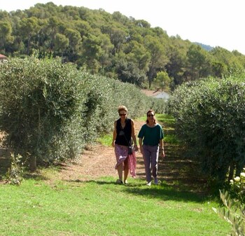 masia can viver
