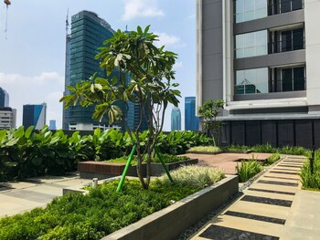 minimalist and comfy studio ciputra world 2 apartment