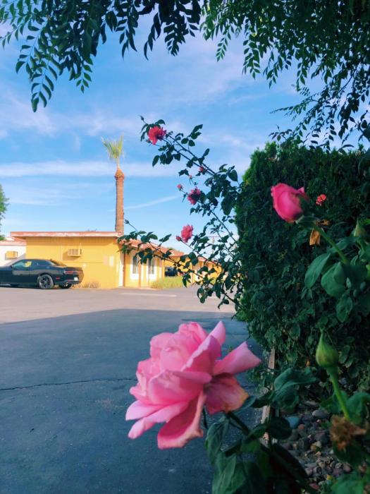 royal inn and suites