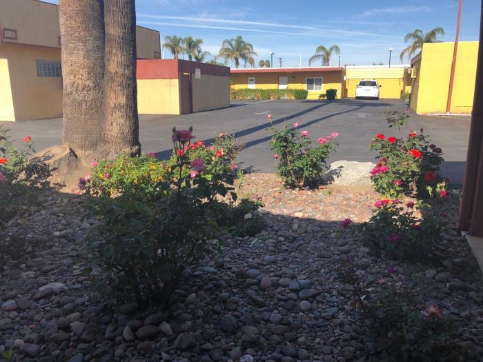 royal inn and suites