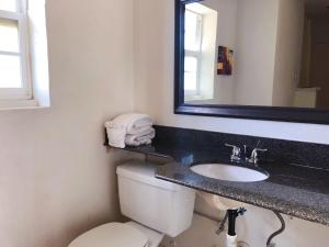 royal inn and suites