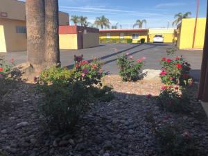 royal inn and suites