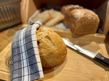 rhein hotel st martin