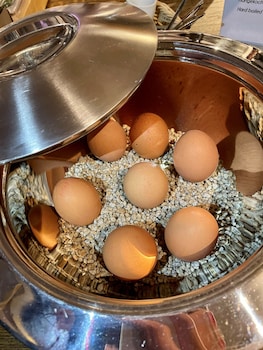 rhein hotel st martin