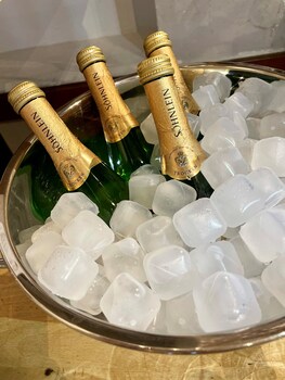 rhein hotel st martin