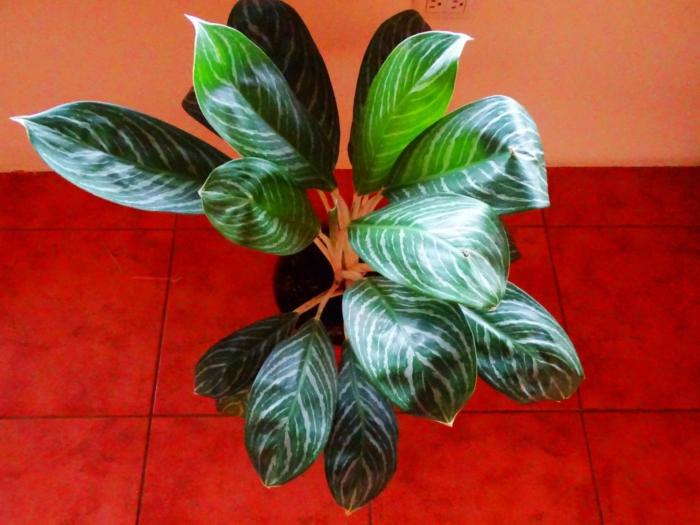 miztli lodge and adventures