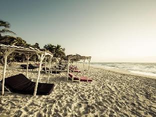 papaya playa project tulum a member of design hotels