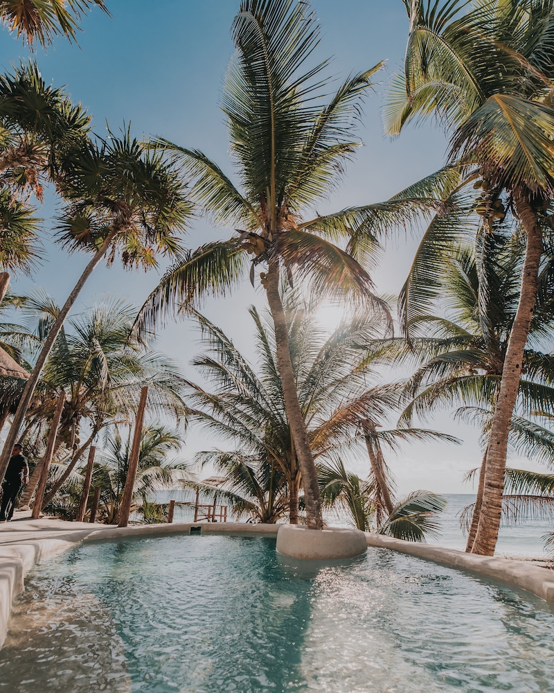 papaya playa project tulum a member of design hotels