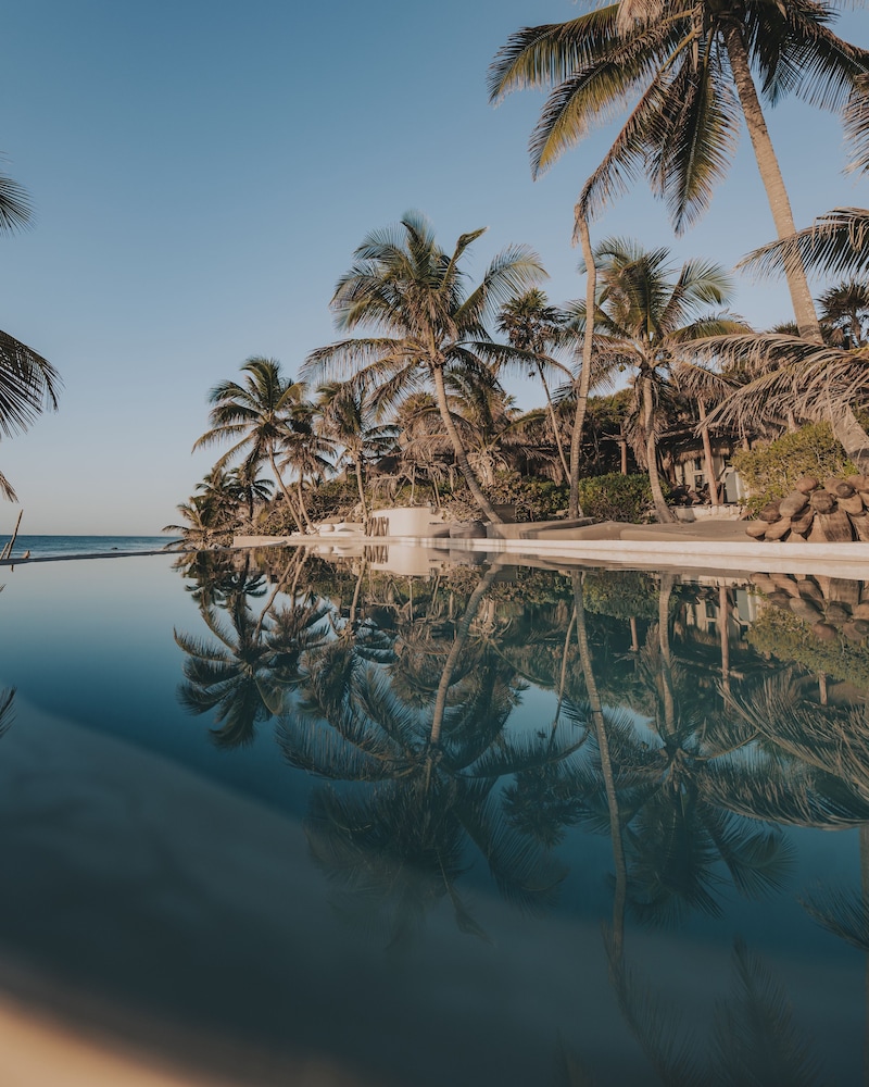 papaya playa project tulum a member of design hotels