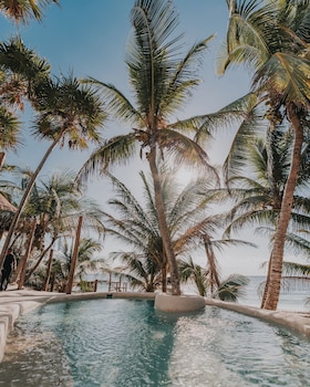 papaya playa project tulum a member of design hotels