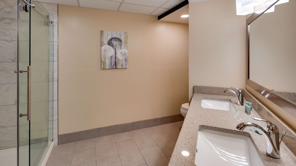 best western plaza inn