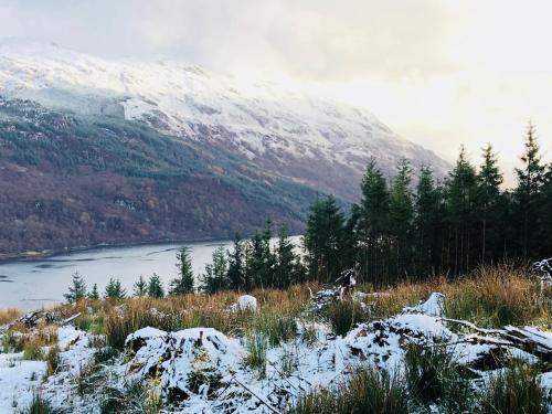 st ives boutique hotel