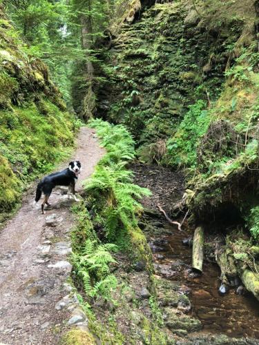 st ives boutique hotel