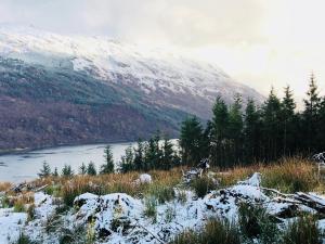 st ives boutique hotel