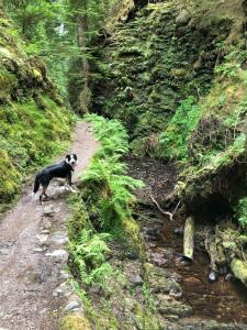 st ives boutique hotel