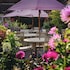 the crown stoke by nayland