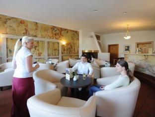 parkhotel luise