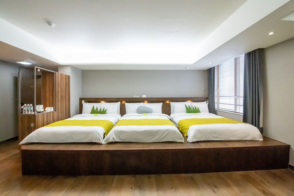 metro hotel