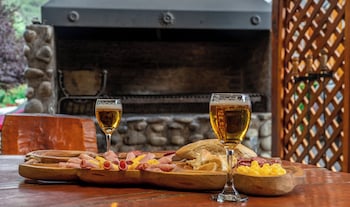 san martin de los andes