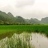 hoa lu