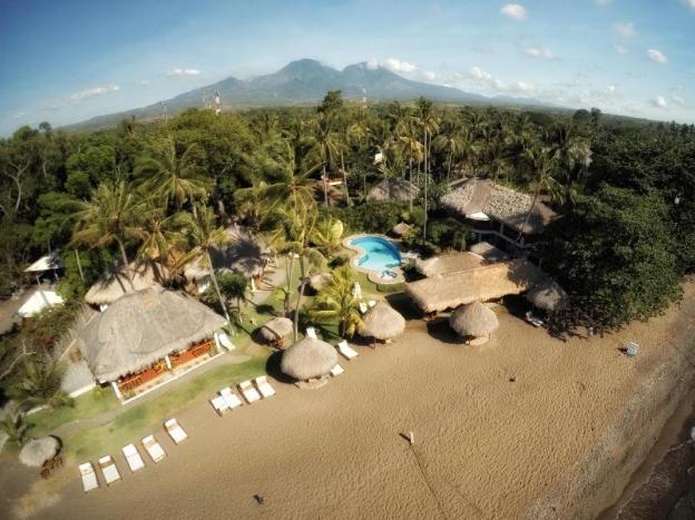 pura vida beach and dive resort