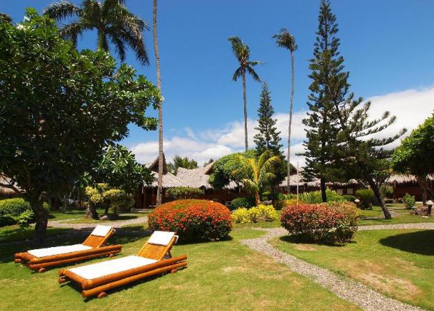 pura vida beach and dive resort