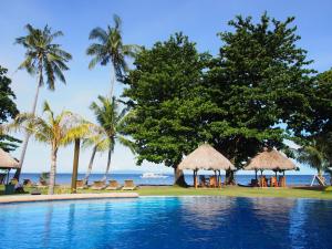 pura vida beach and dive resort