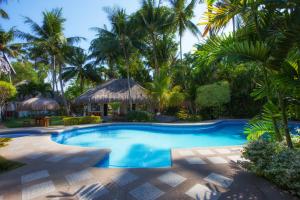 pura vida beach and dive resort
