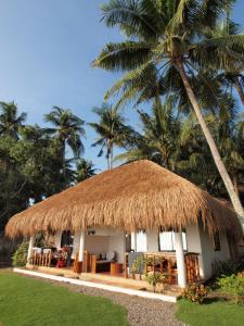 pura vida beach and dive resort
