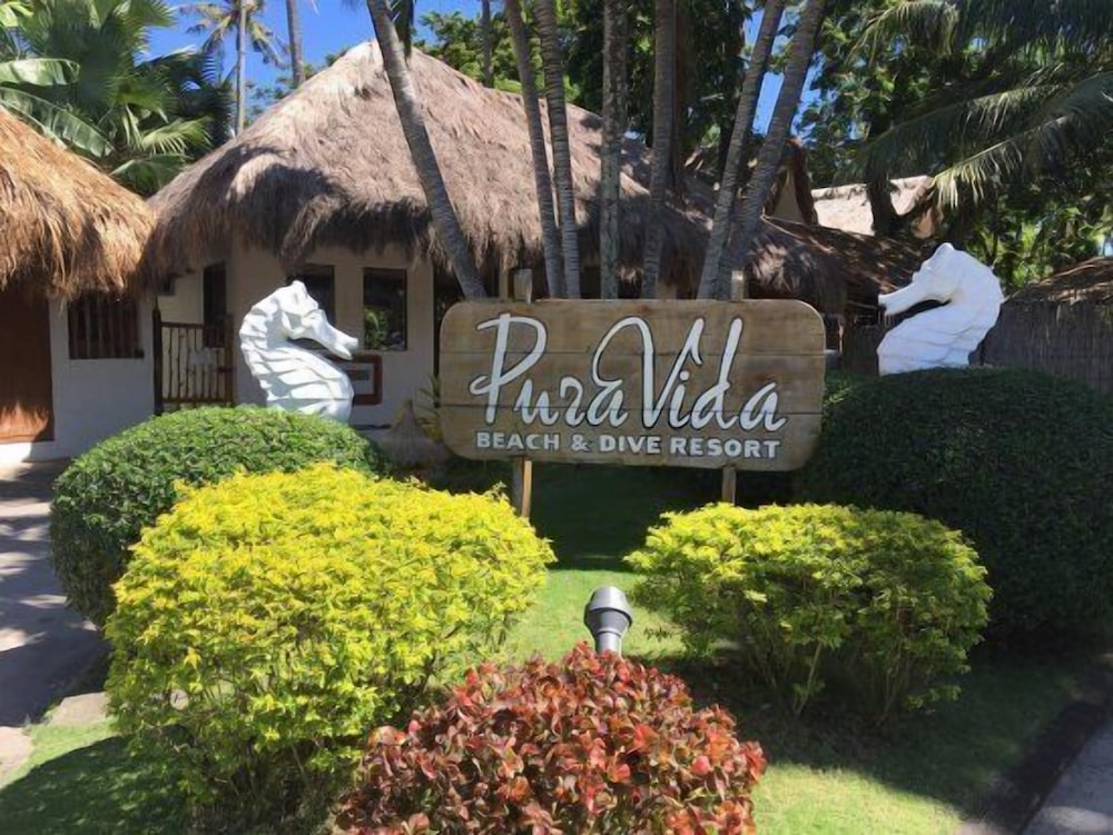 pura vida beach and dive resort
