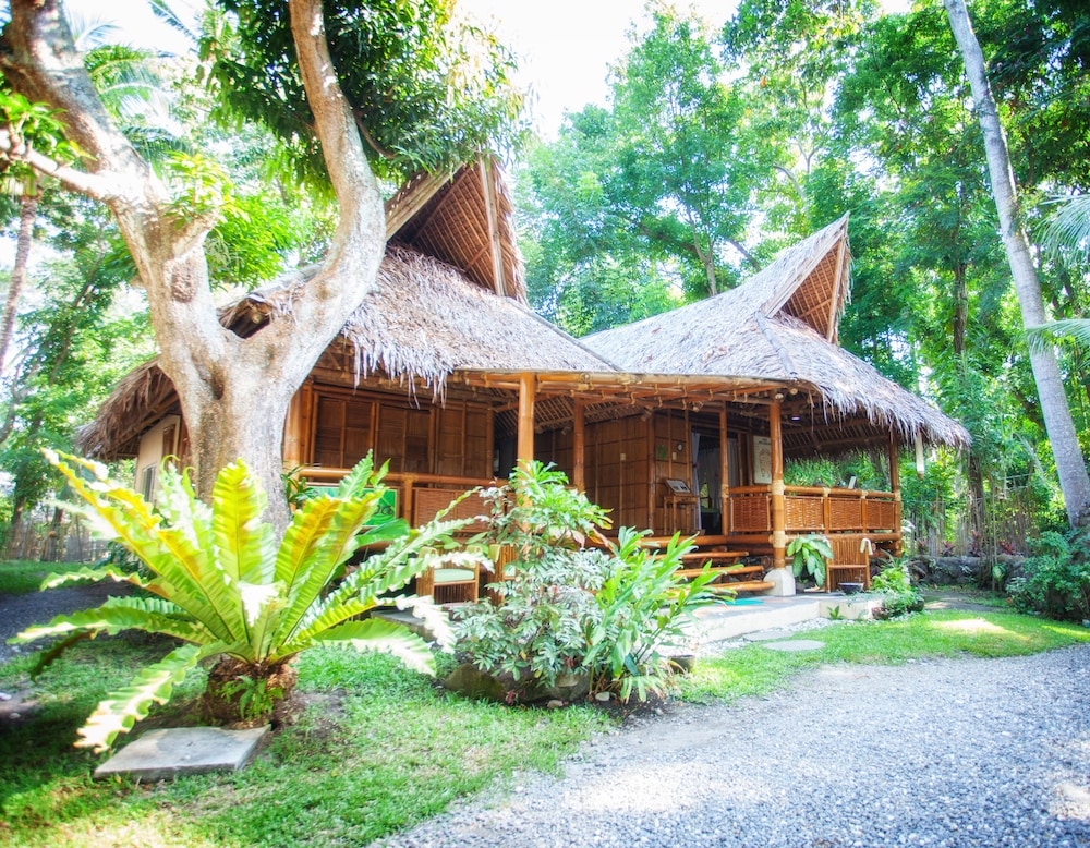pura vida beach and dive resort