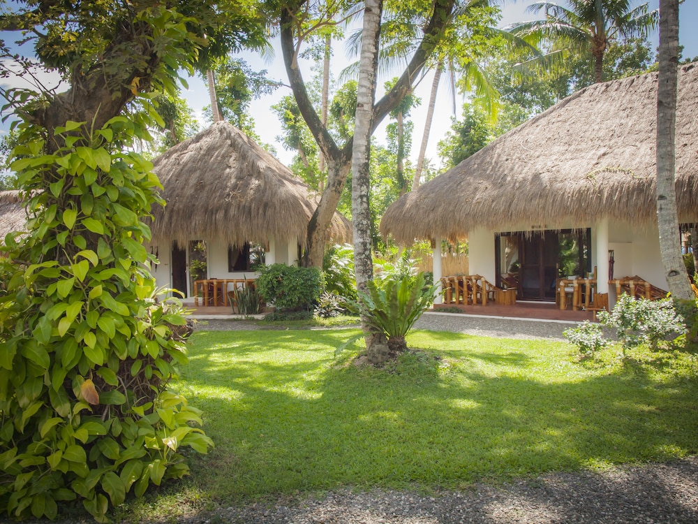 pura vida beach and dive resort