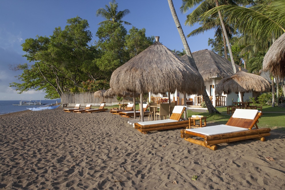 pura vida beach and dive resort