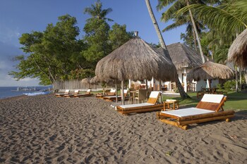 pura vida beach and dive resort