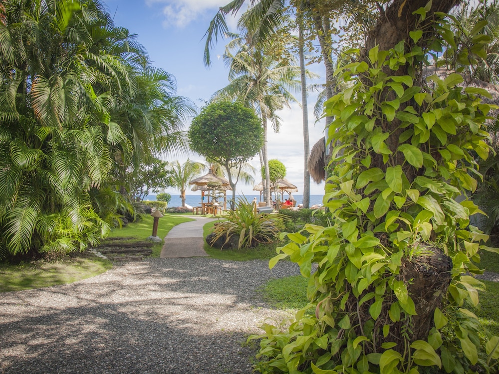 pura vida beach and dive resort
