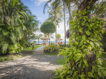 pura vida beach and dive resort