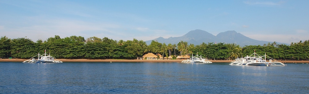 pura vida beach and dive resort