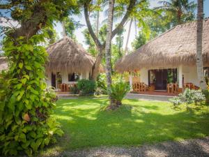 pura vida beach and dive resort
