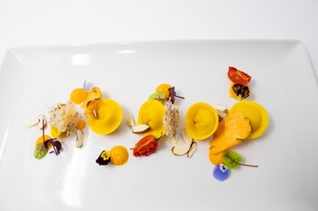 hotel excelsior planet