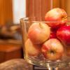 norland inn and suites roseau